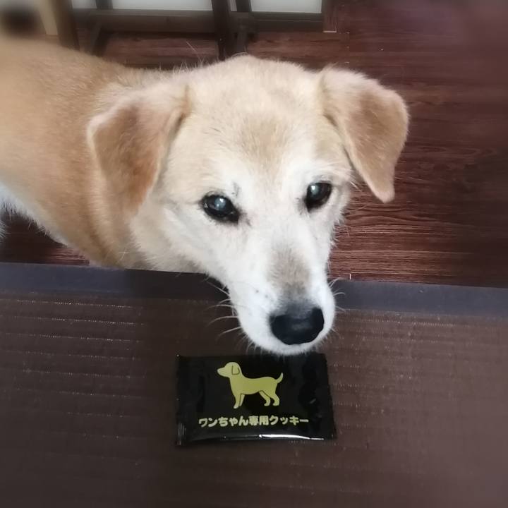 B176f295 7a6f 4b54 b760 86089190a7a7 1624757235061