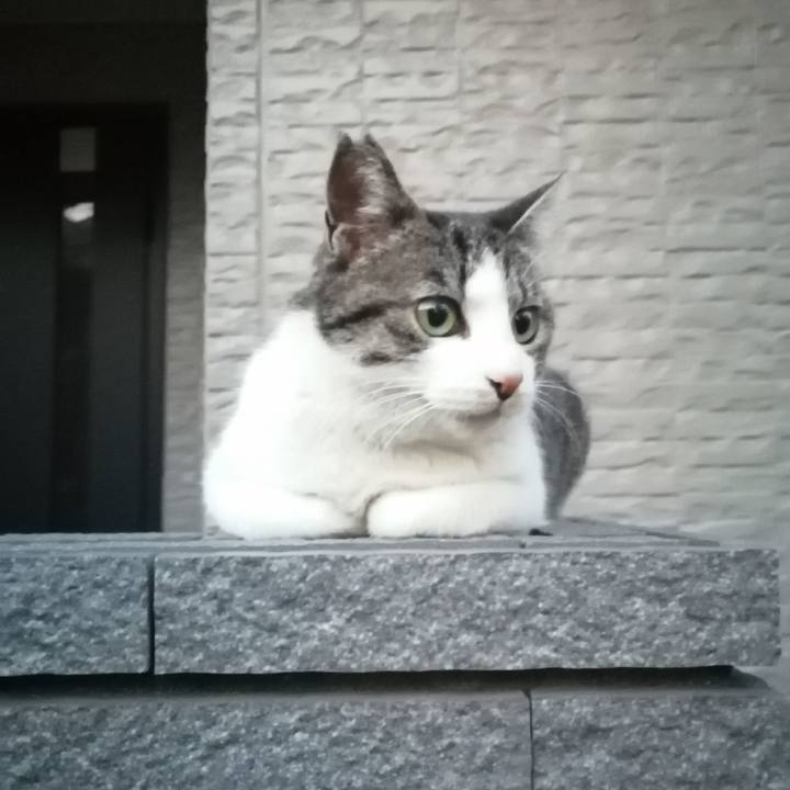 B17713f0 2afc 44d0 bb7e 31aac6a26d26 1618914384369