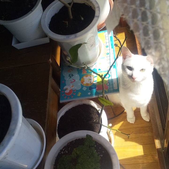 B17728a1 1bd5 4bbb 81c8 af0686e430ce 1709348249237