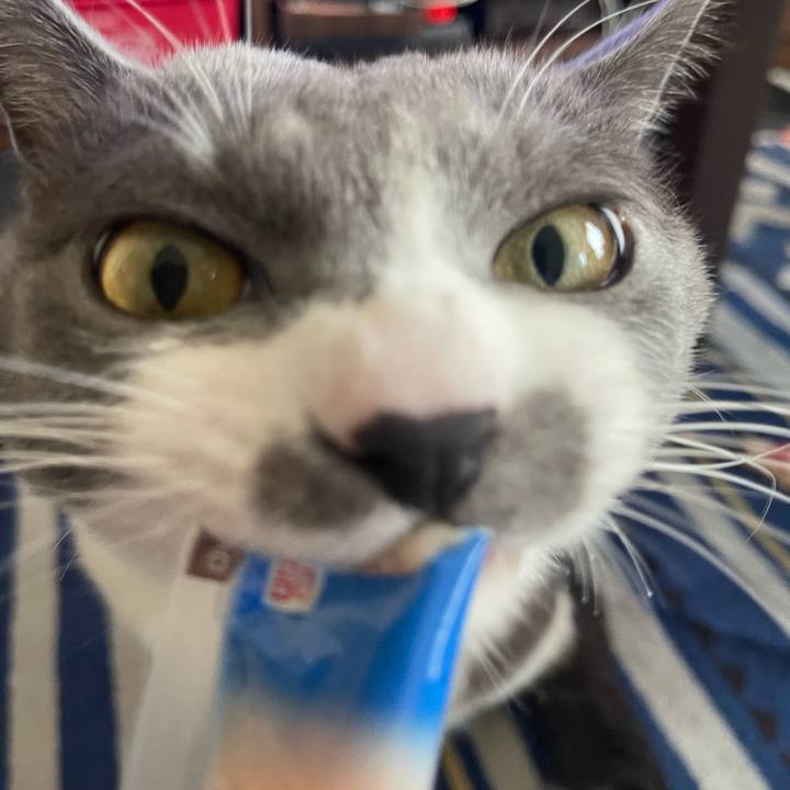 B177389c 5604 4e49 949d ddd4d90fa372 1668062891264