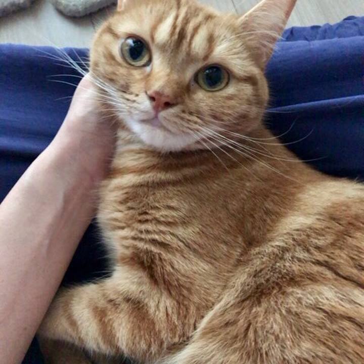 B1774e5e fca6 4725 8c5f afb85751d654 1541237977589