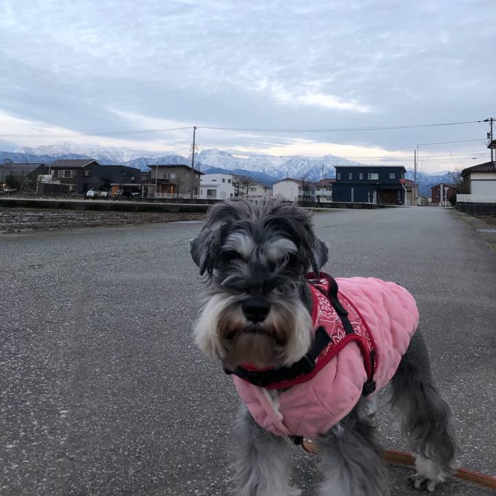 B177abd3 c71b 4d14 812d 1f80dea0e8c1 1577634859351