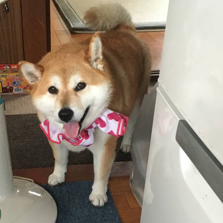 B177c0e3 8ba9 48fe ba69 802b9ad71236 1593938356894