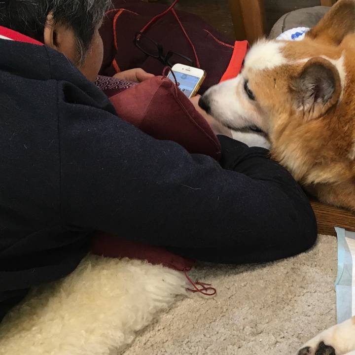 B177c75f bd9e 4e15 8c4f d8218d5041c5 1572761420375