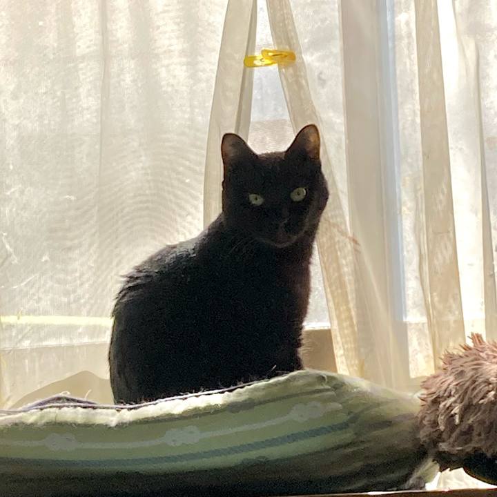 B177d887 ebfb 4075 a286 517eae307cfe 1773231337332