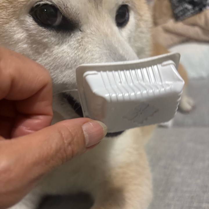 B17807f9 07cb 4823 9dab 65b3dc3b95eb 1746736087928