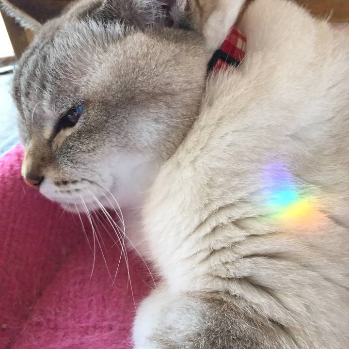 B17867f4 d894 4d47 8461 7ae1a04dbb2c 1541217241623