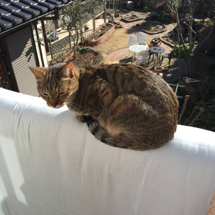 B1788fcf a01e 4c5f a211 7409158cd793 1515807079619