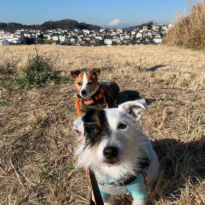 B178ebb7 4c7a 4728 85c4 62f5bb42ec4b 1579484758262