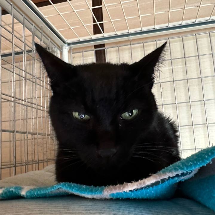 B178ebf7 d949 4f5d acbc 20d8a1467704 1706317706972