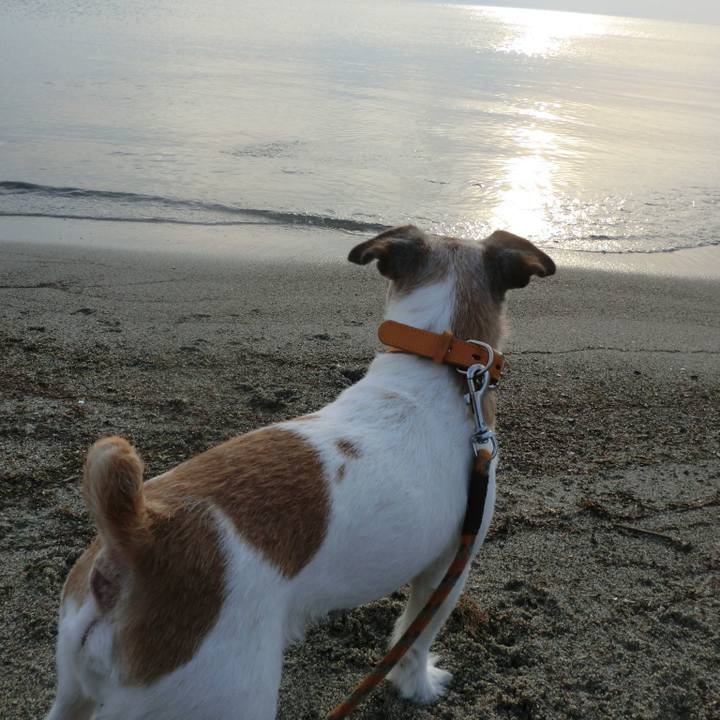 B179010f f5fb 4efb 991f b24559f2ed82 1562844052407