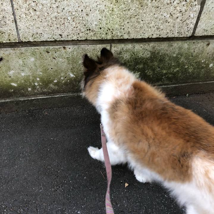 B1790dd2 bec5 407d b995 ace0977d2d18 1532649711484