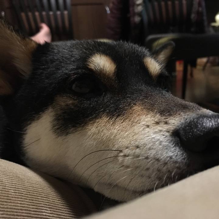 B17916c9 8d1f 4f3f 84cc 805ca1b39986 1512595630979