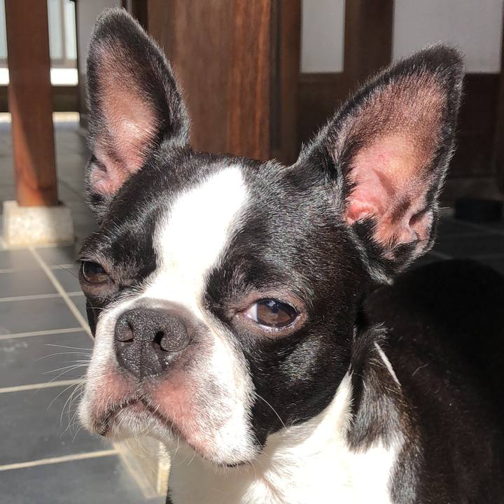 B1793d6a 8e92 4378 9bf1 989b63fc218a 1534549879387