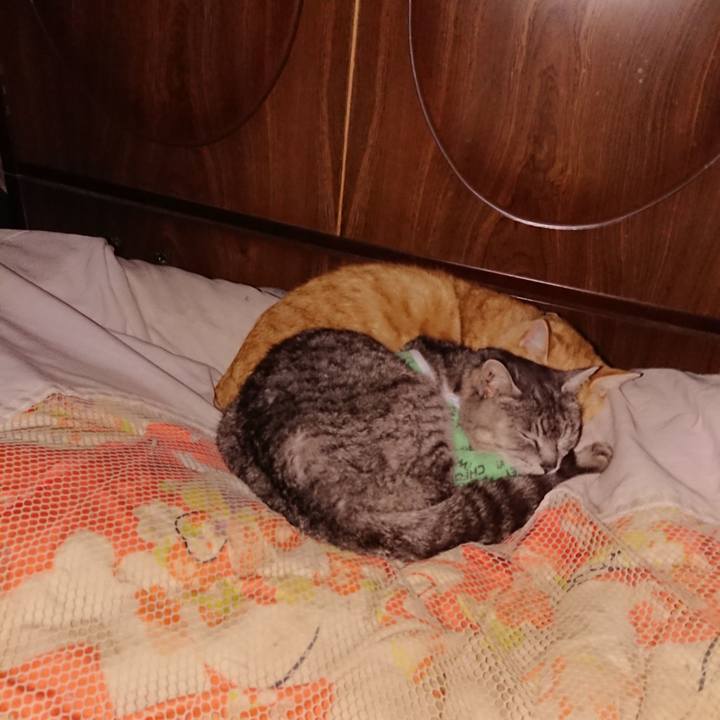 B1796419 180f 4c95 b8ce 07b6448cd4dc 1587478347403