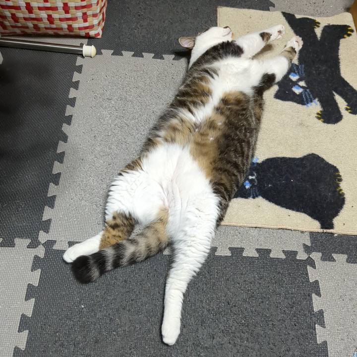 B179a067 2621 4aed a10e 8eeb81d936f6 1722978975958