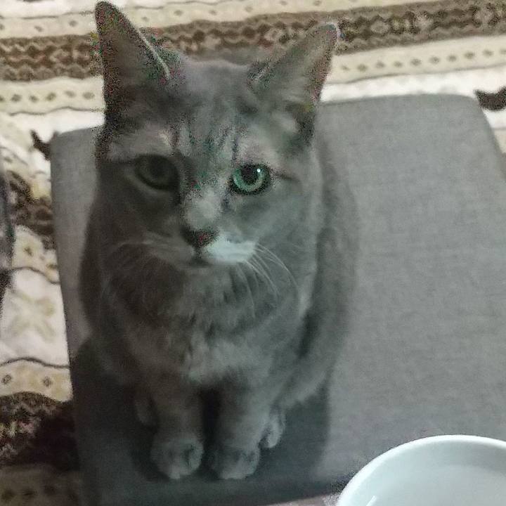 B179bf8f d2ee 4064 87d0 9d49599b5f76 1667997313499