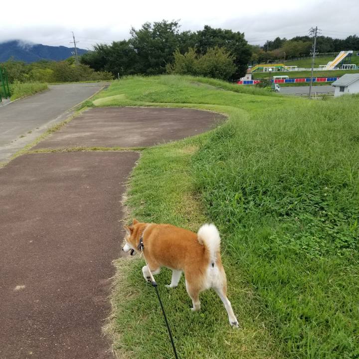 B179c253 0db2 469e a102 586a82819190 1662534384590