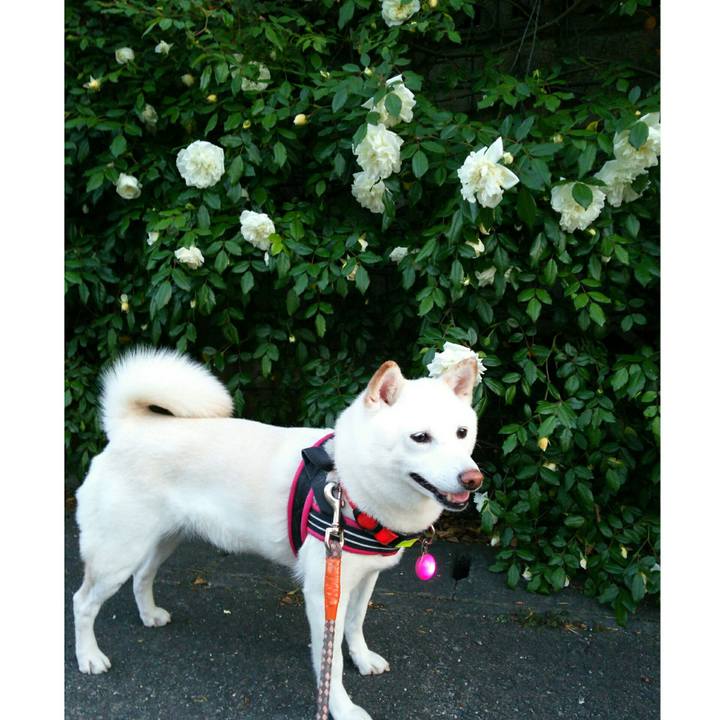 B179c440 b4c0 4e06 a813 3a6524d41808 1559125845979