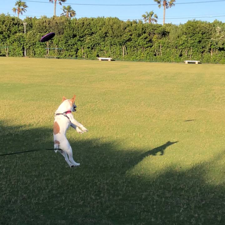 B17a4721 922d 4b6a bb3f bbe32277ee4d 1526732658611