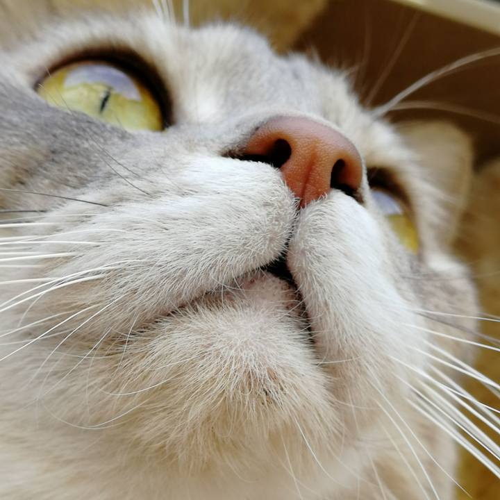 B17a877b 72fa 4898 a5c8 0f59760b7bcb 1543993672340