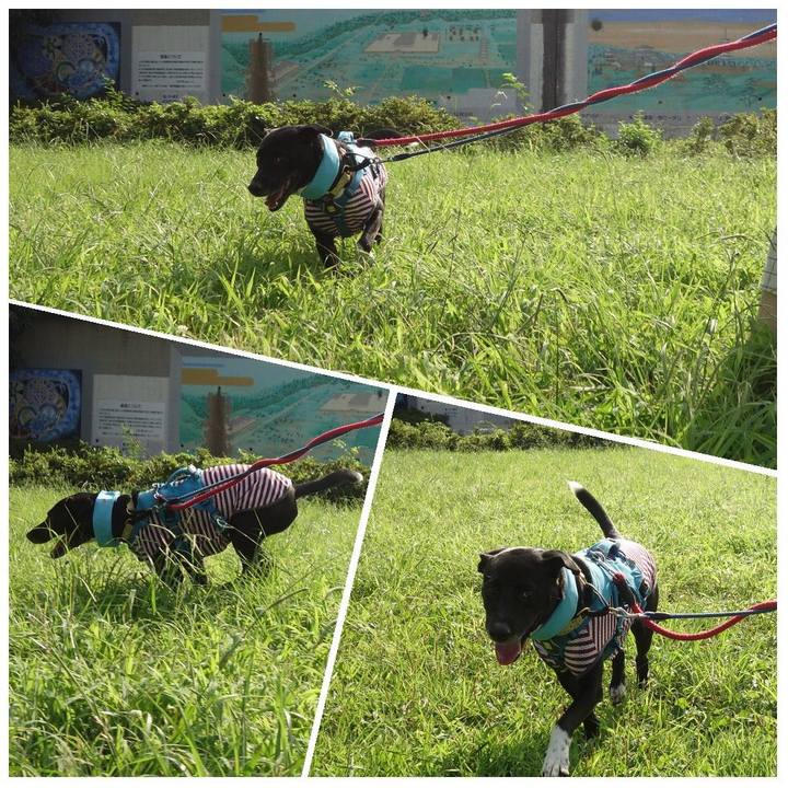 B17a8c42 58a6 4704 b06e 2bd04e75225d 1627086320328