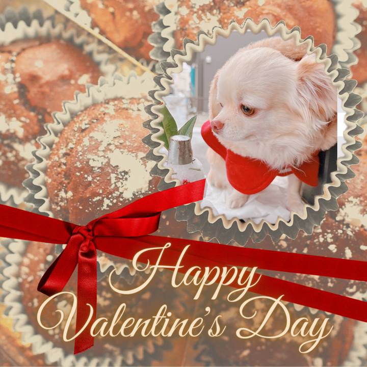 B17ac61e 6bb6 47eb 9701 7e776635f982 1676372962246