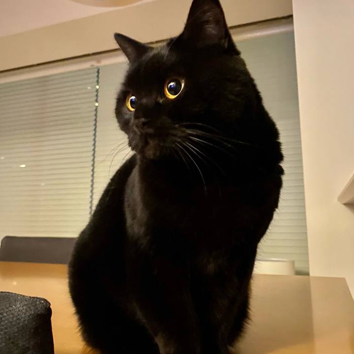 B17ad1d6 055e 4116 bbc2 21d1f0b2540e 1649075410904