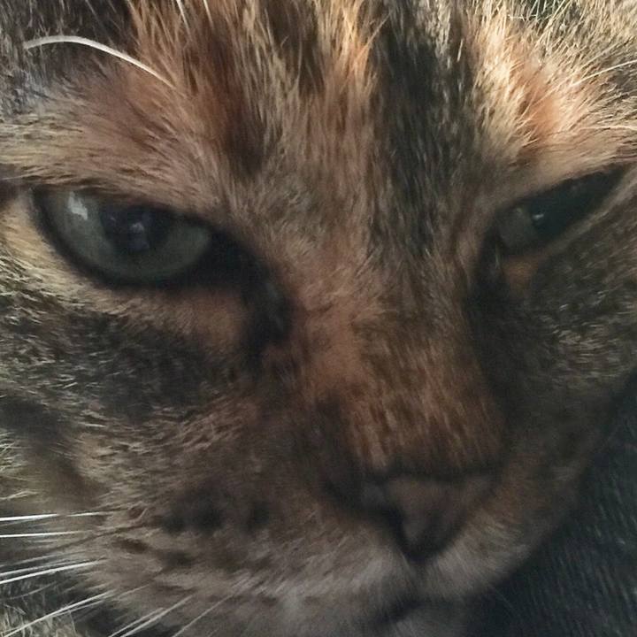 B17ae3b5 9db0 42a5 9944 8ddb511aba9d 1536647360236