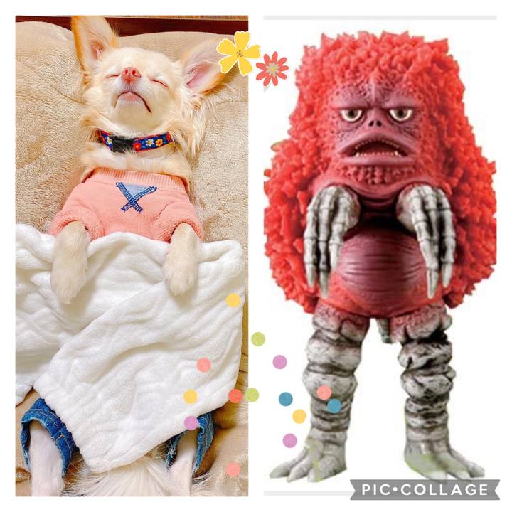 B17b11ed cbdd 4d9e a659 e6a74d865ff9 1642155250183