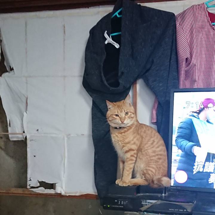 B17b2f71 d6b0 4b2b a93c 48069172ed8e 1647571967740