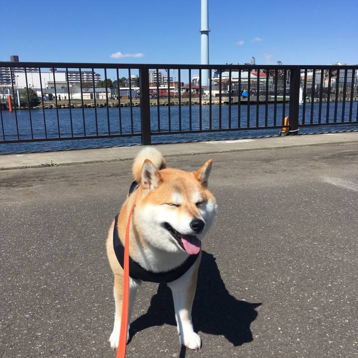 B17b4ebc da91 4359 a505 c45395fd8a5e 1553400849730