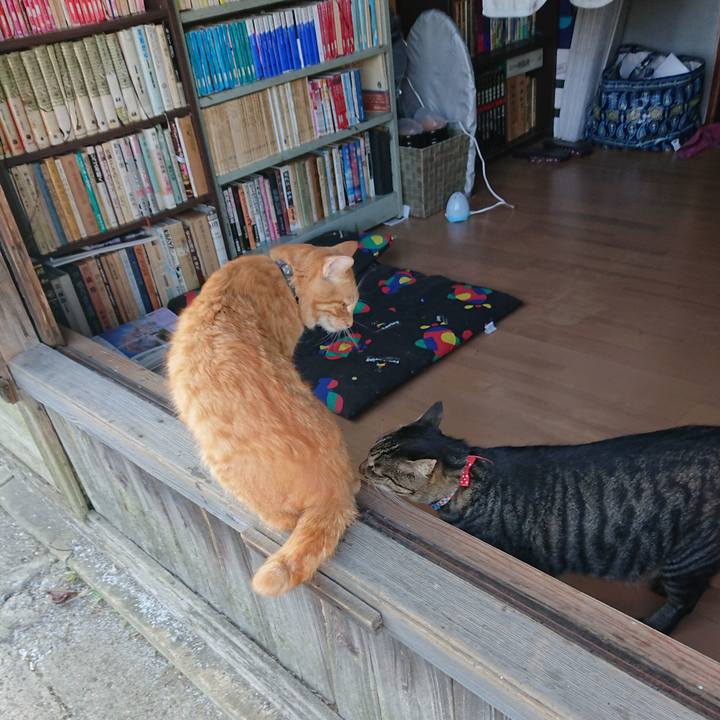 B17b606f aff4 444e 9c09 57be9487a849 1662882039415