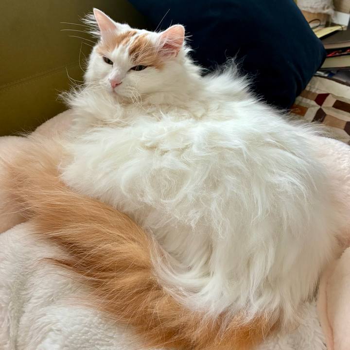 B17b6637 6720 41ab b9a7 2d2028428f2d 1767930178579