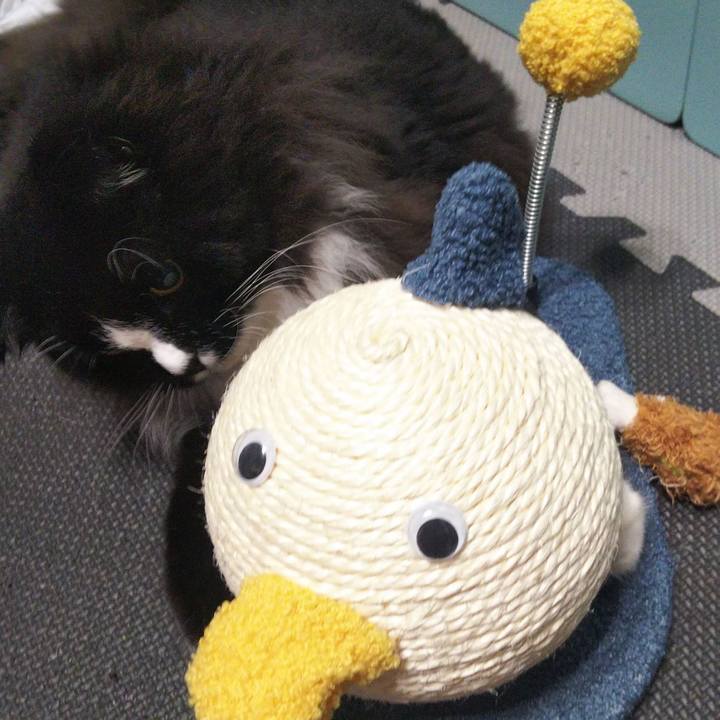 B17b8981 360e 4647 8a1c 1ef6c4b854e7 1656245079286