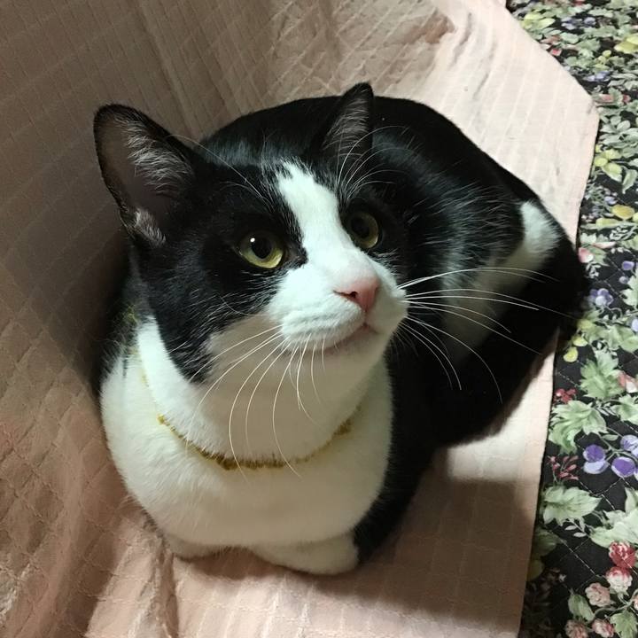 B17ba0da 9fe8 4328 ba18 16da48ffef14 1646302256820