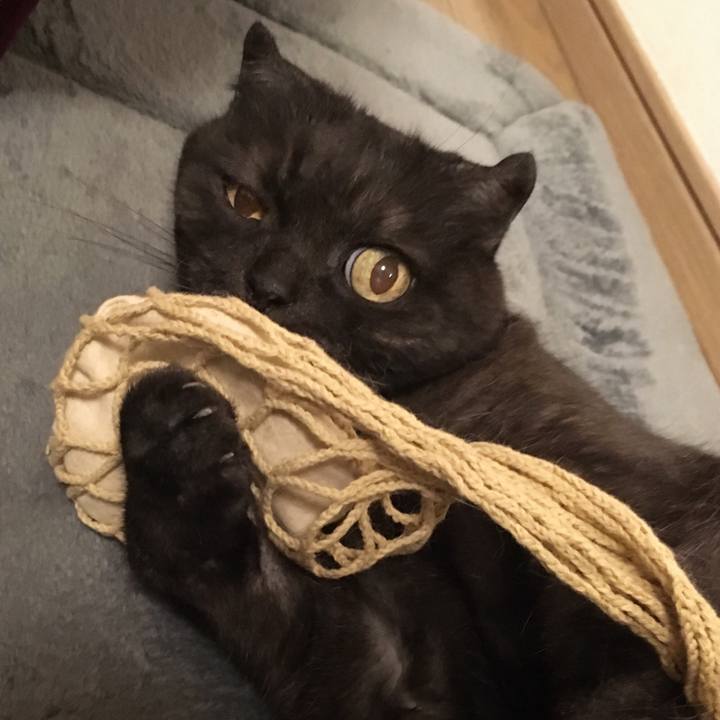 B17bbb94 19be 45b6 bd76 fdb90de19fb5 1559373279633