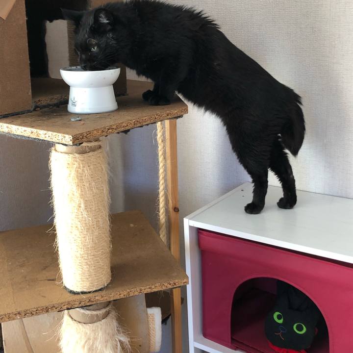 B17bc10d 294a 4d05 9e5a dd512f081494 1598219353456