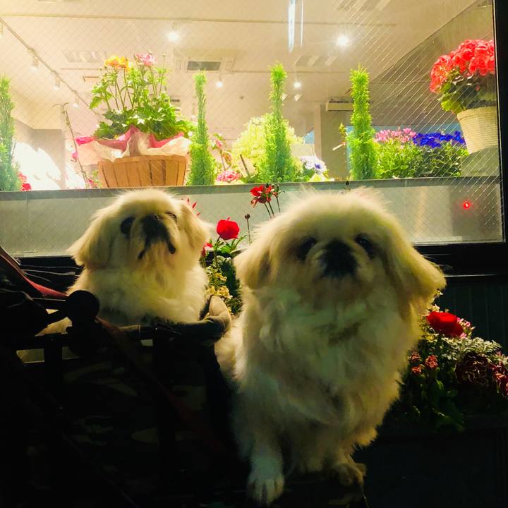 B17bc953 ed6b 4453 a01b 3f61b87665f0 1550754679149