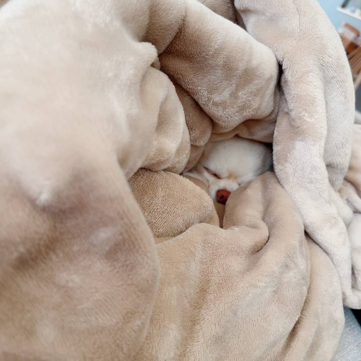 B17bd05f 004f 4300 bc22 5dd02e7a5a11 1716194529403