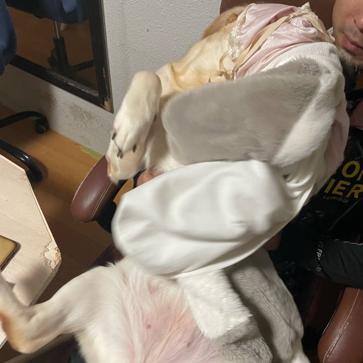 B17be292 276d 4613 9802 a5eeb4c38ffb 1702977416168