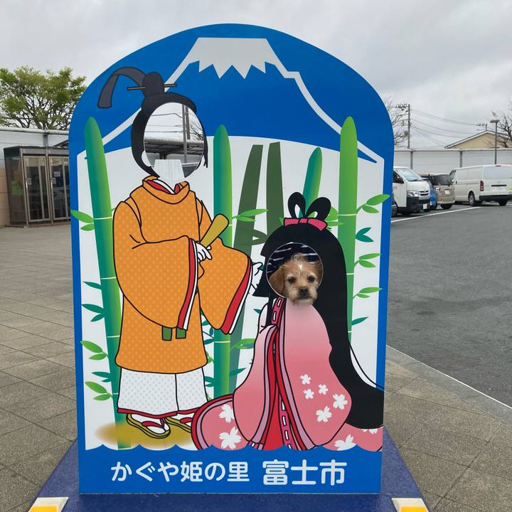 B17c0445 3829 4134 ba4f 71f4505d3b58 1649855087859