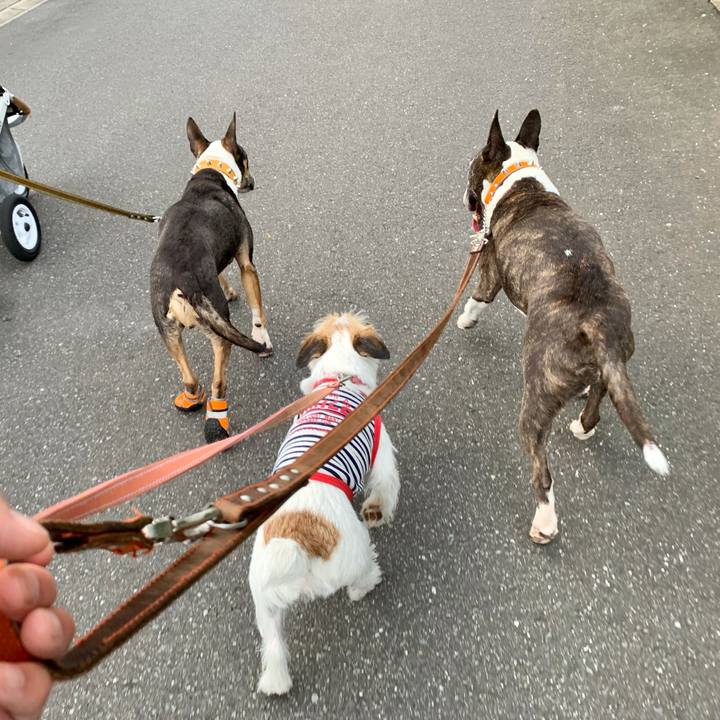 B17c11cd 9840 4e39 b2f0 1159561c176c 1622984261056