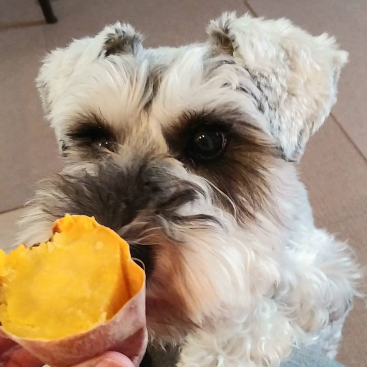 B17c3bb3 bfb1 428c b408 18ceccc8fcf2 1572156126047