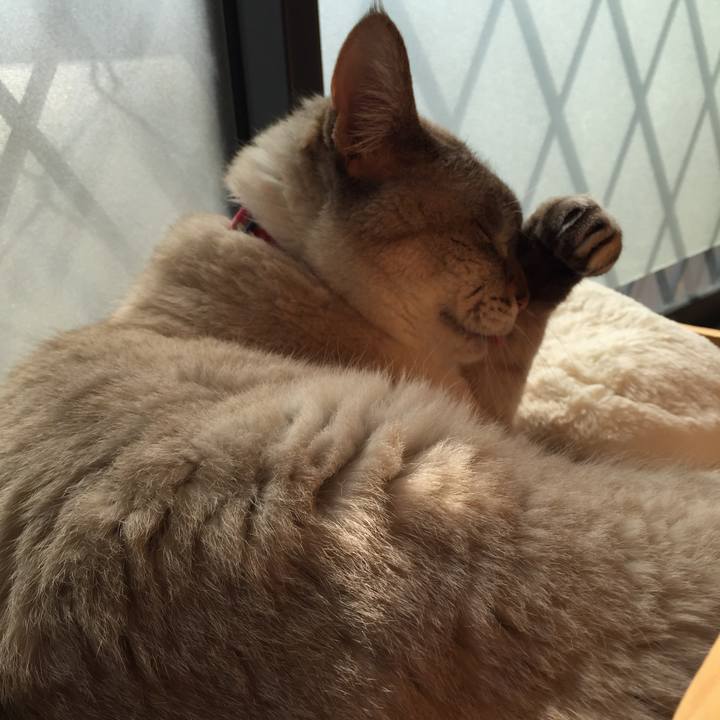 B17ce5d8 ed65 464e b2d2 676bb7cf704e 1551155499146