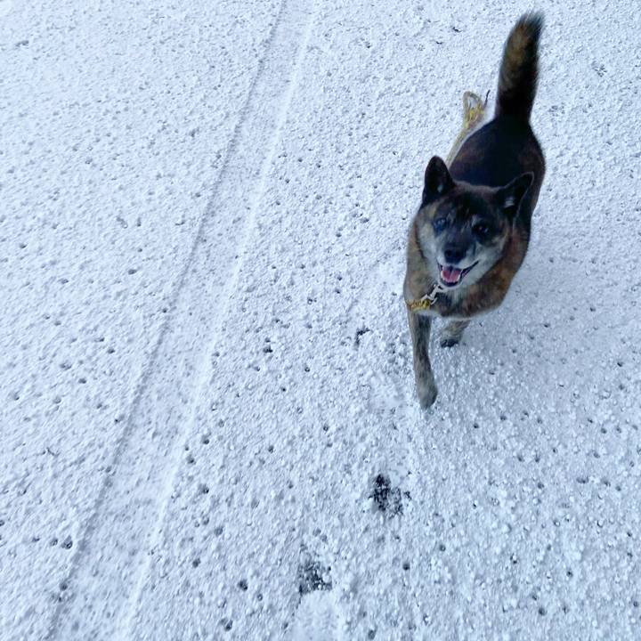 B17ce652 da59 45f9 a485 c24aca261f9a 1608159381722