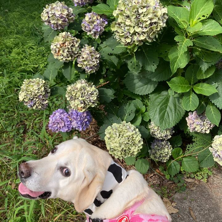 B17cf7cd 47f4 4837 bd85 e7baf86f1b3e 1720058710747