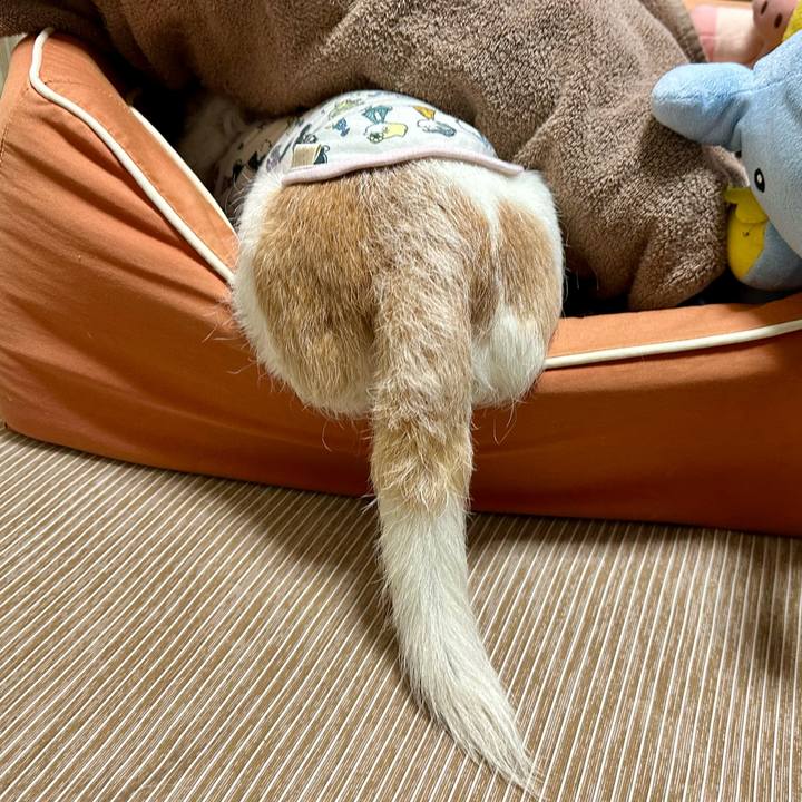 B17d0441 0b03 4178 9997 79e4b60b7833 1691847305353