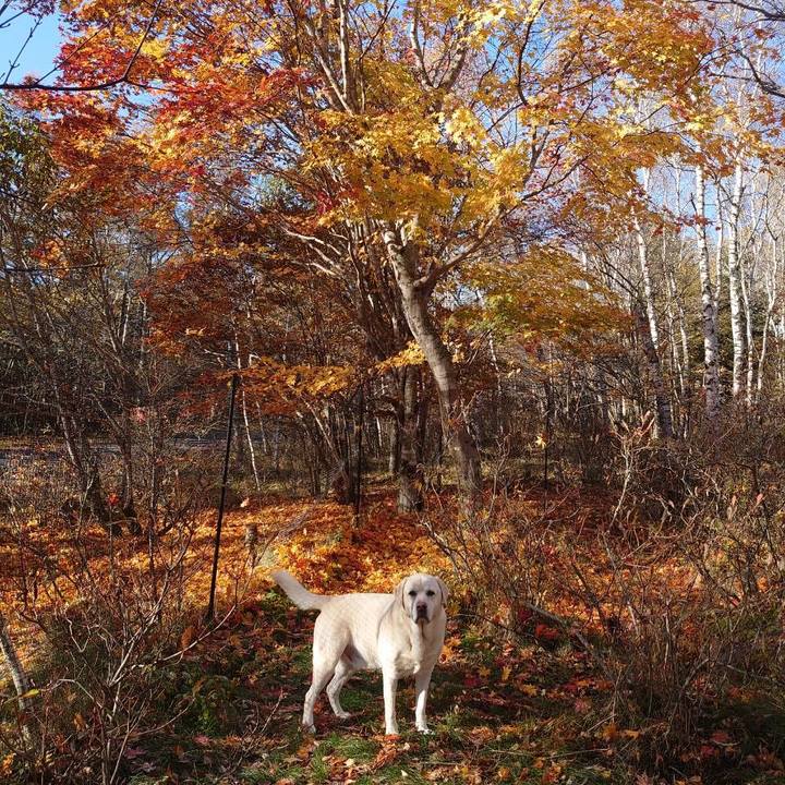 B17d0e86 4eca 41df 91c6 be2e6ca2a42c 1666771820605