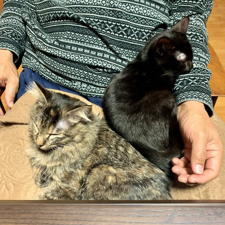 B17d171c aa5a 4bd9 95a9 ed03402b6d33 1643541974994